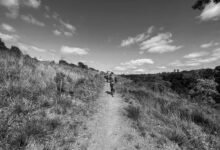 callback delay monitoring system