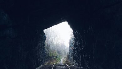 outbound call abandonment analysis
