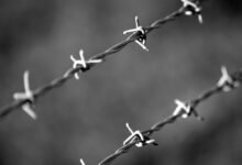 caller protection intelligence division