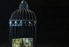 communication security risk council