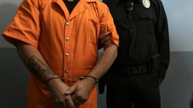 fraud investigation contact numbers