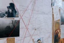 fraud surveillance safety council