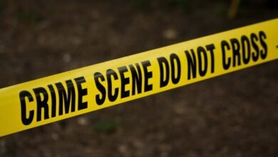 fraudulent investigation caller numbers